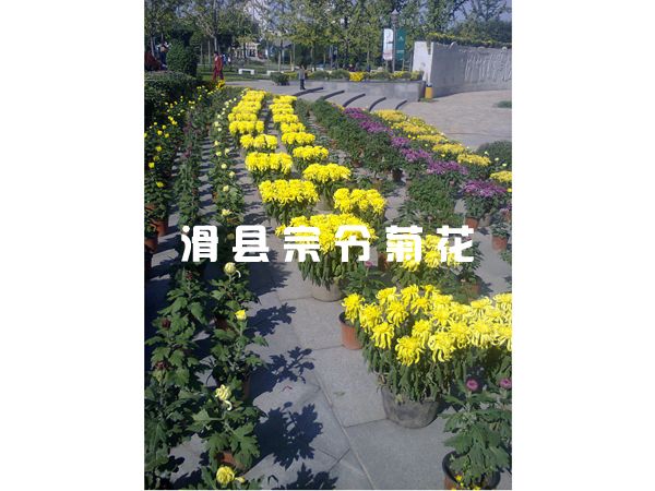 西安朝阳公园工程