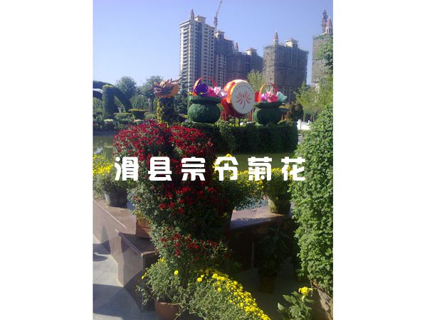 西安朝阳公园工程-1