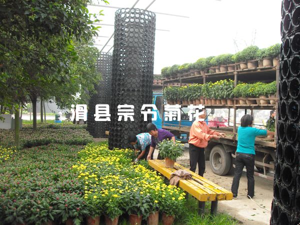 龙亭销售
